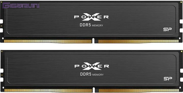 Kit Barrettes mémoire 32Go (2x16Go) DIMM DDR5 Silicon Power XPower Pulse 5600Mhz (Noir)