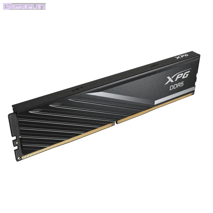 Kit Barrettes mémoire 32Go (2x16Go) DIMM DDR5 Adata XPG Lancer  6400MHz (Noir) – Image 3