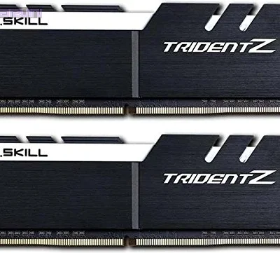 Kit Barrettes mémoire 32Go (2x16Go) DIMM DDR4 G.Skill Trident Z  3200Mhz (Gris et Blanc)