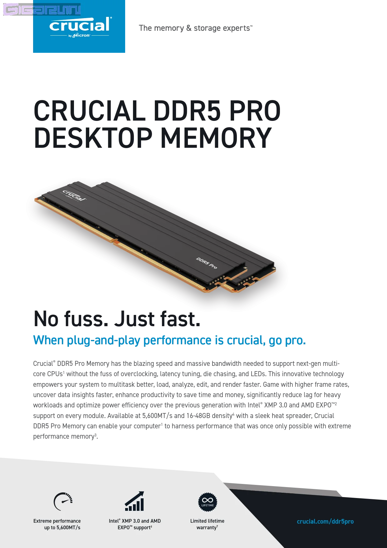 Kit Barrettes mémoire 32Go (2x16Go) DIMM DDR5 Crucial Pro OC Gaming 6400MHz (Blanc) – Image 4