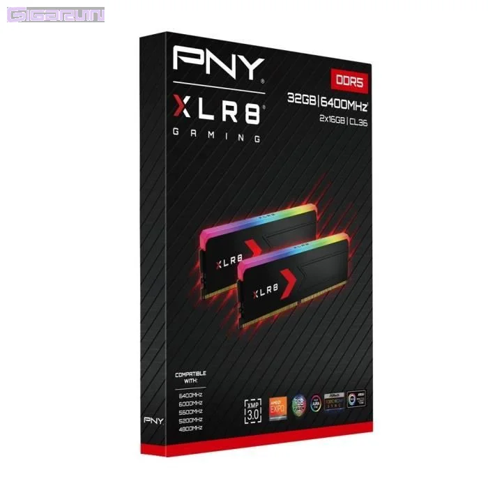 Kit Barrettes mémoire 32Go (2x16Go) DIMM DDR5 PNY XLR8 Gaming Epic-X 6400MHz CL36 (Noir) – Image 4
