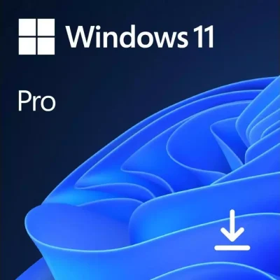 Microsoft Windows 11 Pro 32-bit/64-bit OEM (ESD)