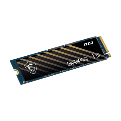 Disque SSD MSI Spatium M450 V1 1To – NVMe M.2 Type 2280 – Image 2