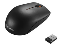 Souris 300 Wireless Compact