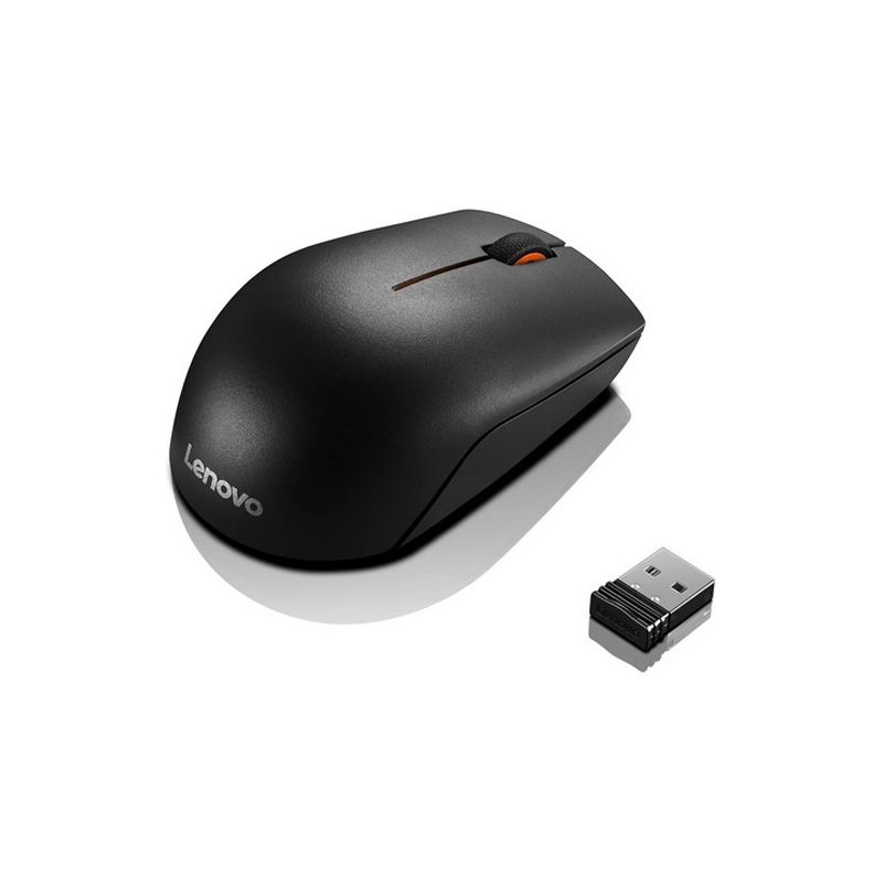 Souris 300 Wireless Compact – Image 2