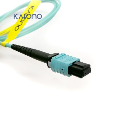 Cordon de raccordement en fibre optique DIGITUS, MPO à MPO, Femelle
