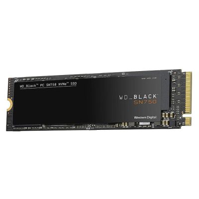SSD NVMe WD 500 Go