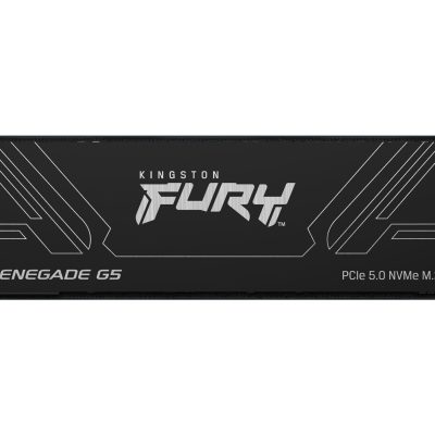 Kingston Technology 4T FURY RENEGADE G5 M.2 2280 NVMe SSD