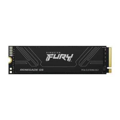 Kingston Technology 1T FURY RENEGADE G5 M.2 2280 SSD NVMe
